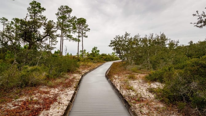 Discovering the Top 10 Hidden Gems of Gulf Shores, Alabama - Beach House Rentals